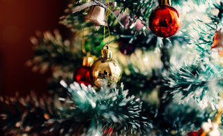 Das erste Mal Weihnachten mit Deinem Hund