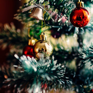 Das erste Mal Weihnachten mit Deinem Hund