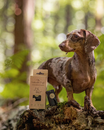 Biologisch abbaubare Hundekotbeutel